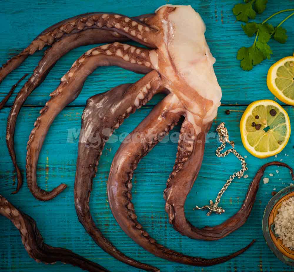 Живые морепродукты из кальмаров