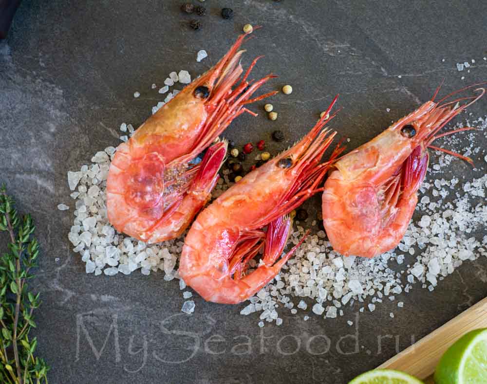 Как выбрать вкусные и свежие креветки - интересные факты о креветках от  MySeafood